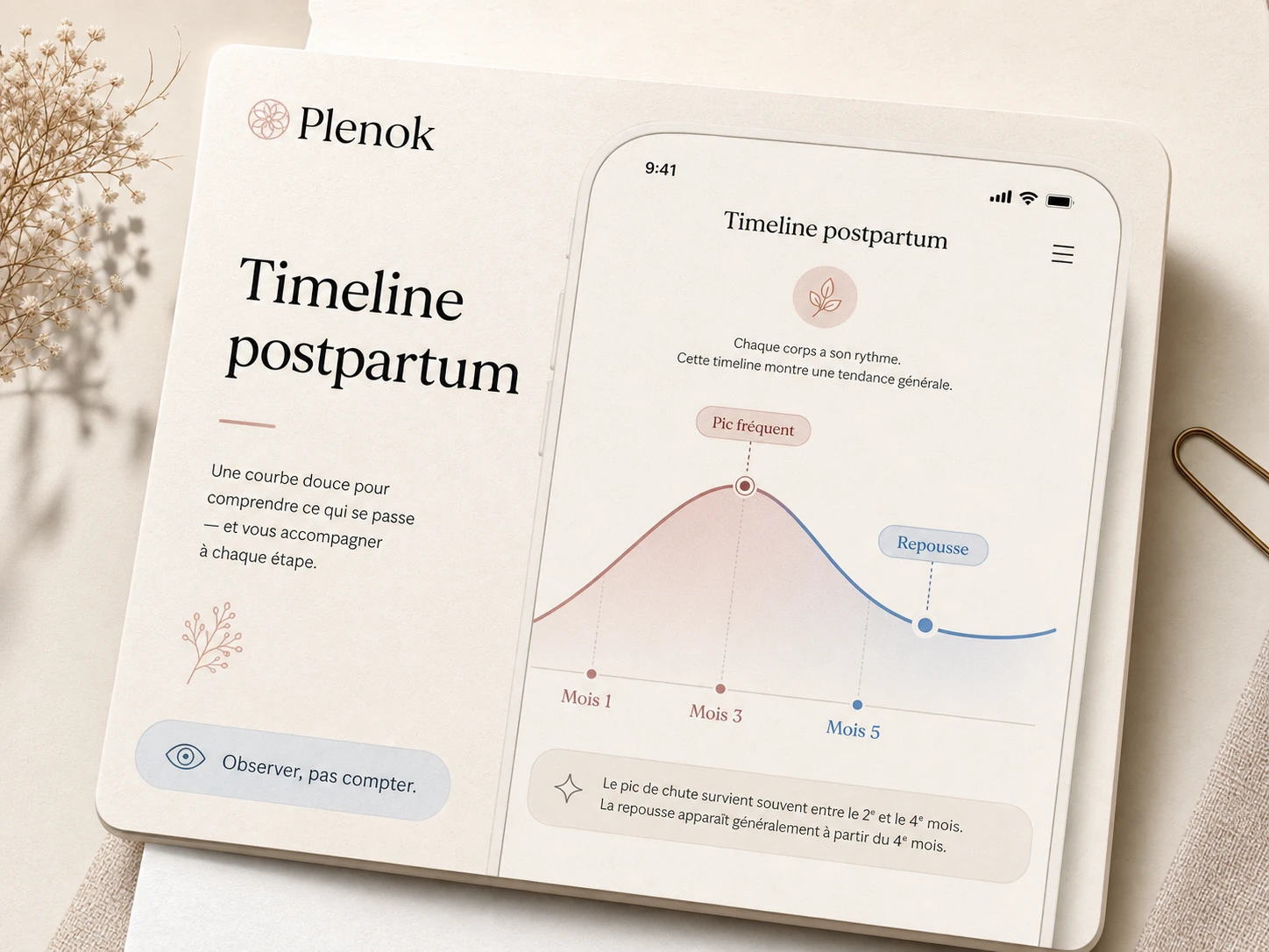 Mockup Plenok d’une timeline postpartum avec les repères mois 1, mois 3, mois 5, pic fréquent et repousse.